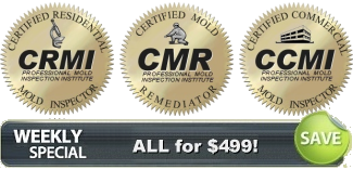 crmi cmi ccmi