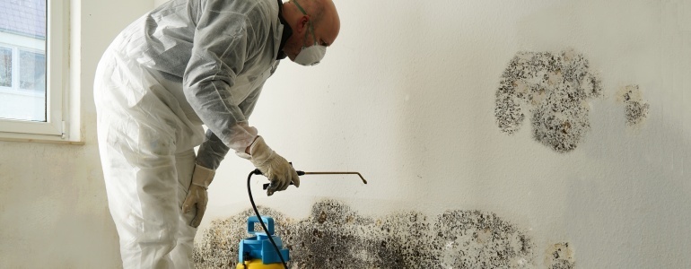 Mold Remediation Tampa