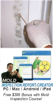 mold inspector and remediator