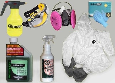 mold remediation starter kit